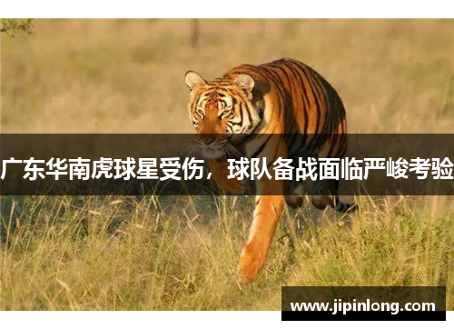 广东华南虎球星受伤，球队备战面临严峻考验
